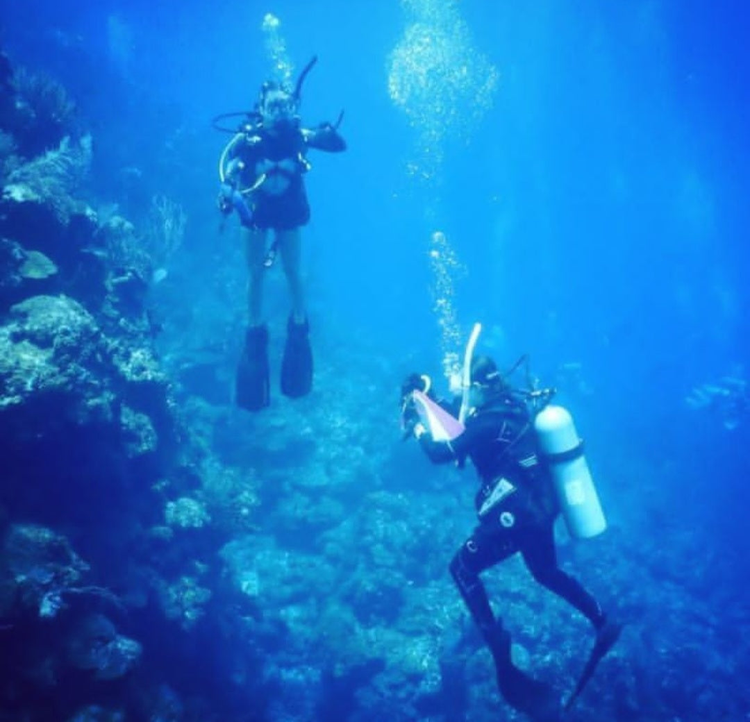 From Research to Restoration - The Journey that Inspired our Mission