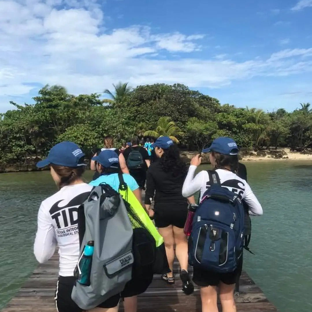 From Research to Restoration - The Journey that Inspired our Mission