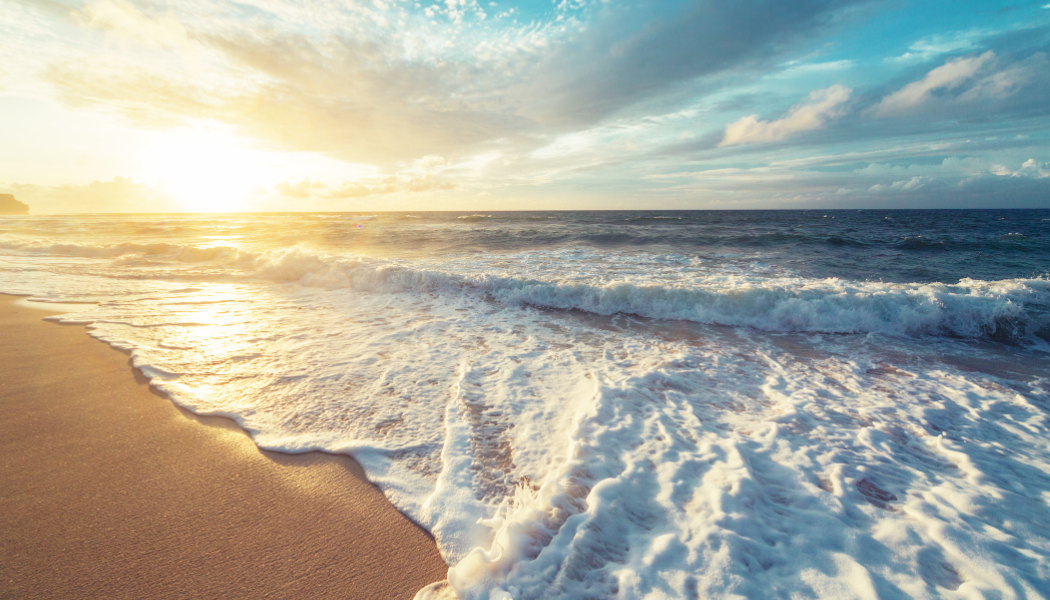 Honoring the Creator Through Creation: The Heart Behind Our Mission