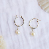 Tide Pearl Hoops V2