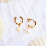 Tide Pearl Hoops V2