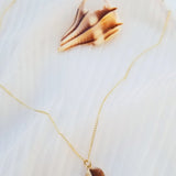 Signature Seashell Necklace - Lightning Whelk